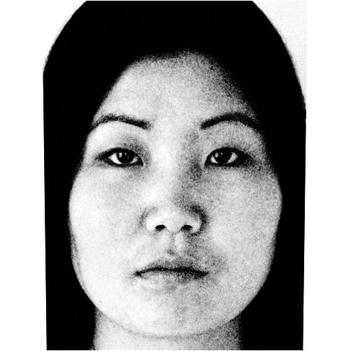 By Victoria Sung (Editor), Theresa Hak Kyung Cha (Artist), Julie Rodrigues Widholm (Foreword), Julia Bryan-Wilson (Contributor), Jordan Carter (Contributor) & 2 more Theresa Hak Kyung Cha: Multiple Offerings