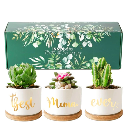 InnoBeta Mema Gifts Succulent Plant Pots 3pcs, Gifts for Mema, Best Mema Ever Planter Pot with Bamboo Tray, Plants NOT Included, Cute Ceramic Pots for Grandma for Mother's Day, Birthday, Christmas