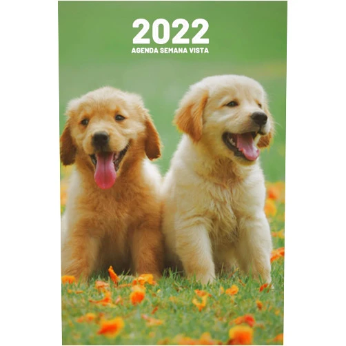 Layla Boite Agenda semana vista: Para una perfecta gestión del tiempo | 2 páginas = 1 semana | weekly planner |Perro | Regalo original mujer hombre niño (Spanish Edition)
