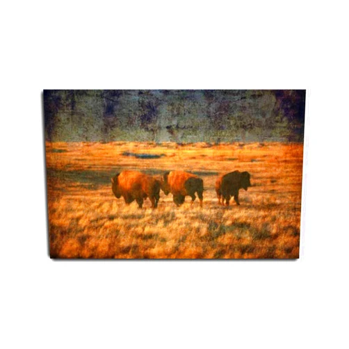 VIUBGCPS Canvas Print Pictures Wall Art Painting Rustic Country Rustic Country Grasslands Canada Farmhouse Wild Animal Print Framed & Stretched Posters Ready to Hang Home Decor Artworks 20x32inch