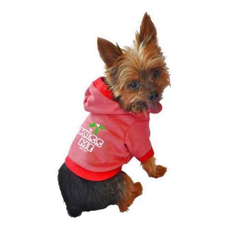 Ruff Ruff and Meow Dog Hoodie, Kiss Me, Red, Large