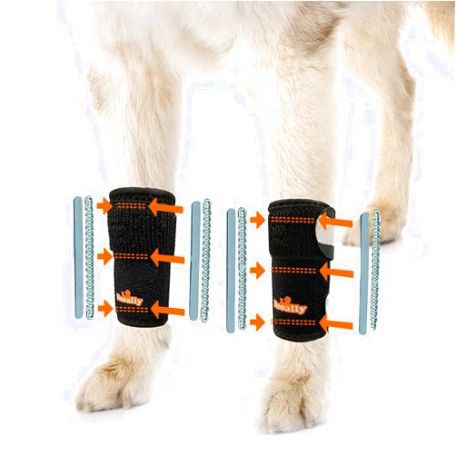 NeoAlly - 3-in-1 Dog Splint Front Leg Support, Front Leg Brace with Rigid and Spring Inserts, Dog Leg Sleeve for Pet Mobility, Stability, & Protection, With Reflective Straps, XXS-XS, 1 Pair