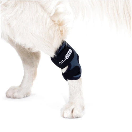 Ortocanis - Hock Support for Dogs with Osteoarthritis. Ligament Injuries or Tendon Inflammation of Joints. Size M
