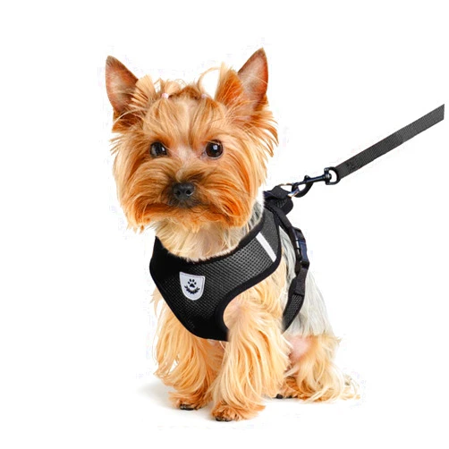 Shudyear Dog Walking Chest Harness and Leash, Anti-Escape Adjustable Soft Mesh Dog Leash and Harness Set for Small Dog and Puppies, Vest for Medium Sized Dogs (Black, L)