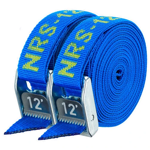 NRS 1