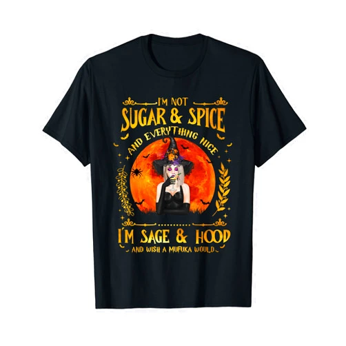 Witch And Full Moon Halloween Lover I'm Not Sugar And Spice And Everything Nice I'm Sage Hood T-Shirt