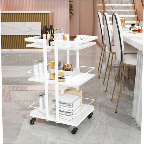 OmySalon Esthetician Cart with Wheels Salon Rolling Trolley, Mobile Storage Organizer for Beauty Spa Cosmetology Massage, Tattoo Manicure Facial Tool Holder Station, White