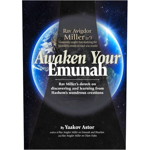 Yaakov Astor Awaken Your Emunah