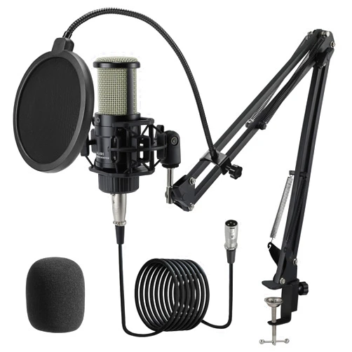 ALABS XLR Condenser Microphone, Professional Cardioid Recording Microphone Kit with 25mm Diaphragm for Streaming, Podcasting, Singing, Vocal, Studio Mic with Boom Arm, Pop Filter (AC22)