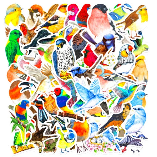 DothRayan 100 Pcs Birds Stickers Cute Bird Animals Stickers, Vinyl Waterproof Birds Sticker for Kids Teen Water Bottles Laptop Luggage Phone Skateboard Computer Refrigerators