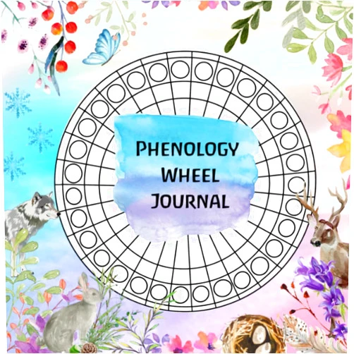 Tailored Education Family Phenology Nature Journal/Independent record/art journal/nature study/Home Education