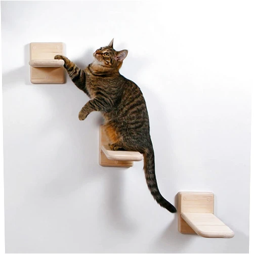 Clyairmao 3 PCS Cat Wall Shelves,Wood Cat Wall Steps Cat Climber - Cat Wall Climbing Ladder, Wall Mount Cat Climbing Shelves, Cat Perch for Wall, Cat Hammock Bed, Indoor Cat Wall Furniture (3 PCS)
