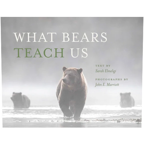 Sarah Elmeligi,John E. Marriott What Bears Teach Us