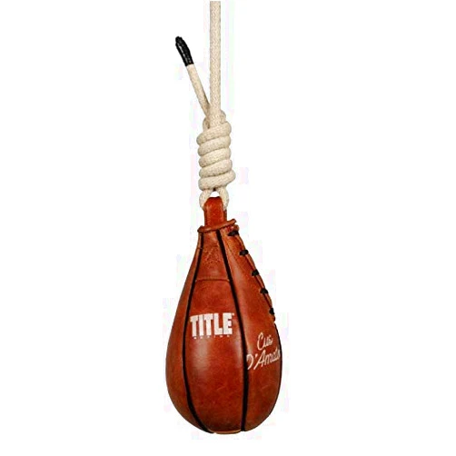 Title Boxing Cus Damato Slipping Bag, Brown, 4