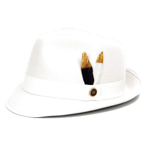 FADACHY Fedora Hats for Men & Women Short Brim Felt hat Trilby Fedora with Feather Panama Dress Hat