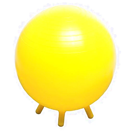 Champion Barbell Stability Ball with Feet