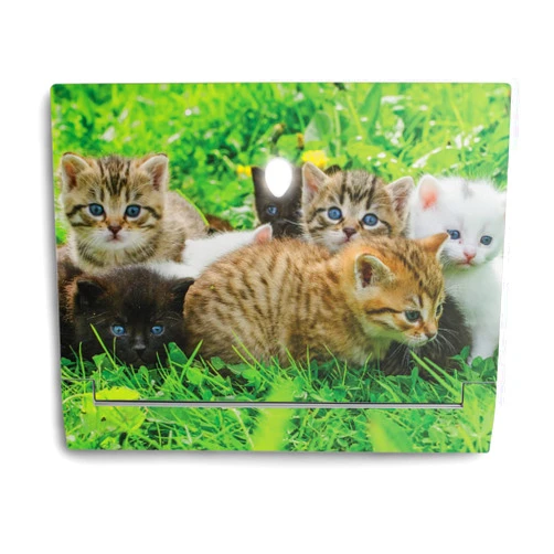 MIGHTY SKINS MightySkins Skin Compatible with Alienware X14 (2022) Full Wrap Kit - Field of Kittens | Protective, Durable, and Unique Vinyl Decal wrap Cover | Easy to Apply & Change Styles | Made in The USA