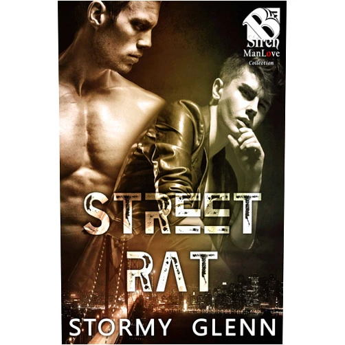 By Stormy Glenn (Author) Format: Kindle Edition Street Rat [Hot Mess: Friends & Family 2] (The Stormy Glenn ManLove Collection)