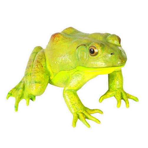 Safari Ltd. American Bullfrog Figurine - Realistic 4.75
