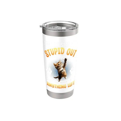 Cat Humor Sarcastic Apparel Cat I Would Slap The Stupid Out Of You Funny Stainless Steel Insulated Tumbler