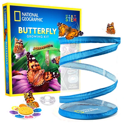 JMW Sales, Inc. National Geographic Butterfly Growing Kit - Butterfly Habitat Kit with Voucher to Redeem 5 Caterpillars (S&H Not Included), Butterfly Cage, Feeder, Easter Basket Gifts for Kids