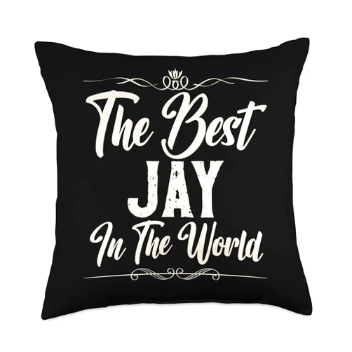 Excellent Person In The Universe The Best Jay in The World Throw Pillow, 18x18, Multicolor