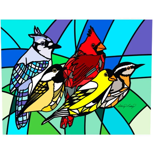 KI Puzzles 550 Piece Puzzle for Adults Birds of a Feather by Stacey Lokey Colorful Bird Jigsaw from KI Puzzles, 24x18