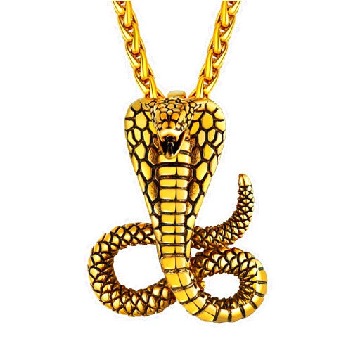 Richsteel Stainless Steel Cobra/Python Snake Pendant Necklace for Men Women Punk Fashion Jewelry(Gift Wrapped)