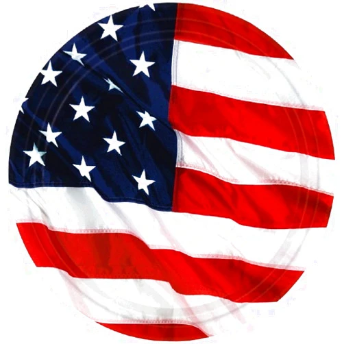 Amscan Paper American Flag Disposable Plates (Pack of 10)