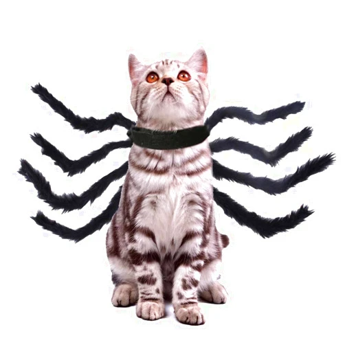 HongGun Pet Halloween Christmas Cat Spider Costume Funny Outfit Cosplay Dog Spider Harness Halloween Accessories for Dogs Cats (S-Black)