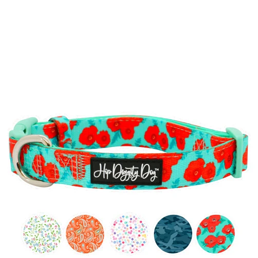 HIP DIGGITY DOG | Adjustable Padded Dog Collar | Sizes for all Dogs Great and Small | Treat your Dog to Tail Wagging Comfort and Style (Poppy, XS)