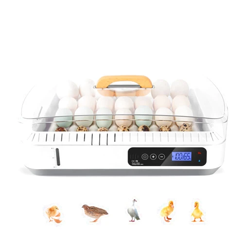 wyness 36 Egg Incubator with Automatic Egg Turning and Automatic Temperature Control, Incubators for Hatching Eggs for Chicken, Duck, Quail and Goose