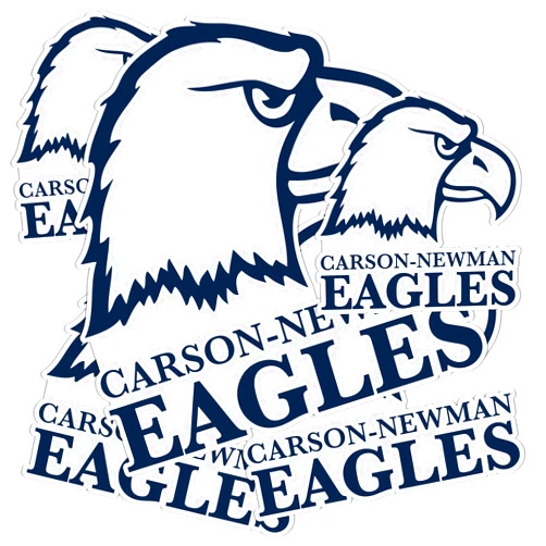 Desert Cactus Carson-Newman University Stickers Eagles Vinyl Decals Laptop Water Bottle Car Scrapbook 13.39x10.98 Sheet T3 (Type 3-1)