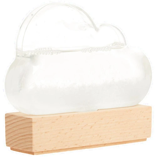 Bitten Storm Cloud: A Weather Predicting Instrument