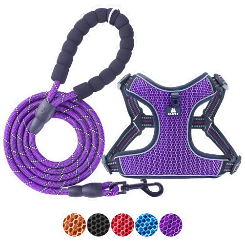 BAAPET Breathable Dog Harness for Small Puppy, Medium Dogs Step-in and Air Mesh with 6 Feet Reflective Rope Dog Leash (L - 6 FT x Chest (20~25''), Purple)