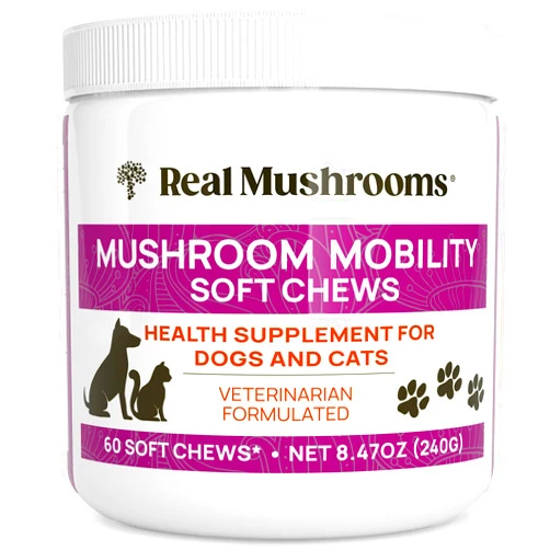Real Mushrooms Mobility Chews for Dogs & Cats – Green Lipped Mussel & ErgoGold Mushroom Blend – Dogs & Cat Vitamins Treats for Active Routines – Joint, Hip & Flexibility Support – 240 ct Supplement