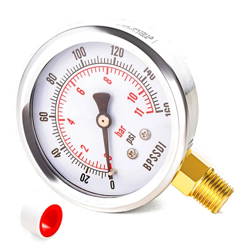 BPSSDI 0-160 Psi Pressure Gauge, 2.5