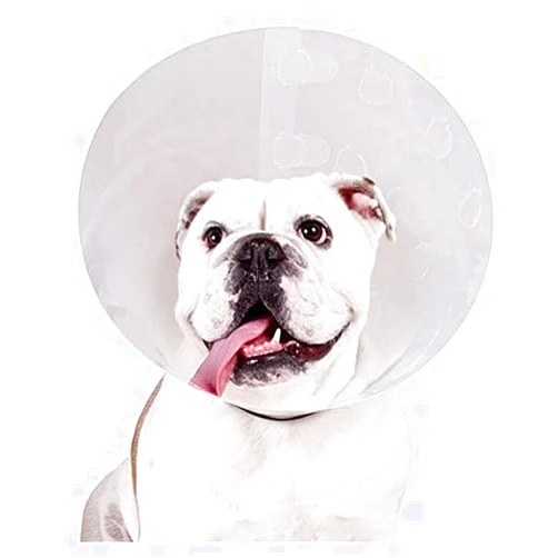 KVP Check Pet Recovery Collar, Fits 8.5