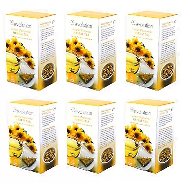 Revolution Tea - Mesh Infuser Full Leaf Tea - Golden Chamomile - Herbal Tea - 16 Bags - 6 Pack Golden Chamomile 16 Count (Pack of 6)