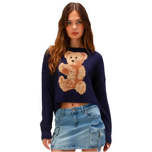 Rsq Icon Bear Pullover Sweater