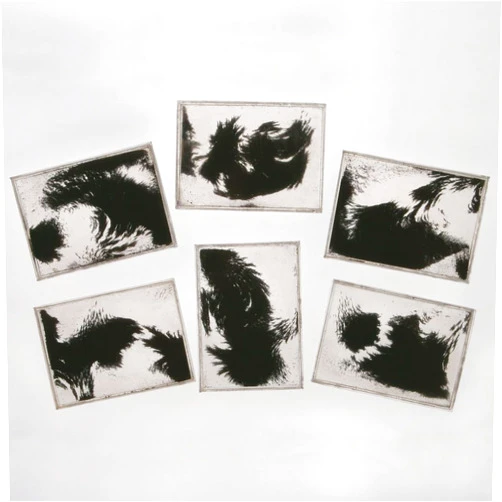 Carolina Student Magnetic Field Demonstrator Value Pack