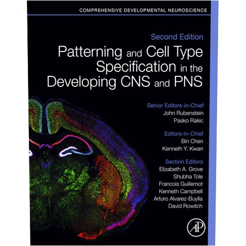 Bin Chen,Kenneth Y. Kwan Patterning and Cell Type Specification in the Developing CNS and PNS: Comprehensive Developmental Neuroscience