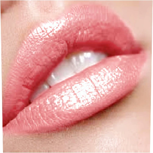 By The Clique Premium Pink Lip Gloss | Blushing Bride…