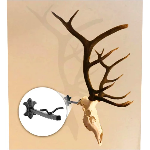 Skull Bracket Bull Bracket | Heavy-Duty European Elk Skull Mounting Bracket | Large Game Hanger for Moose, Caribou, Longhorns | USA Made