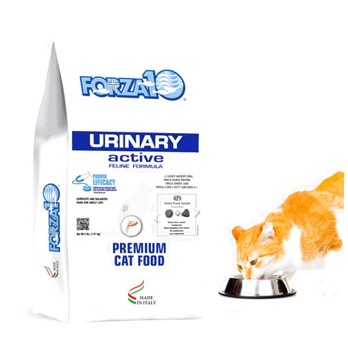 Forza10 Active Urinary Dry Cat Food, Cat Food Dry for Adult Cats, Helps Improve Urinary Tract and Urinary Issues, Fish Flavor Cat Dry Food, 4 Pound Bag