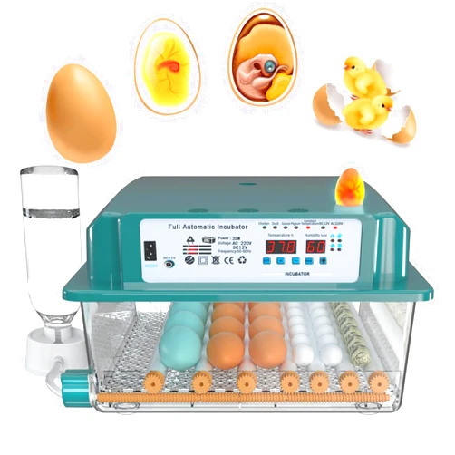 CHOiES record your inspired fashion Choies 36 Egg Incubator for Hatching Eggs with Automatic Egg Turning and Humidity Control,Automatic Water Adding,360° View Incubators for Chicken Eggs,Quail,Ducks, Goose, Pigeon,Parrot Eggs