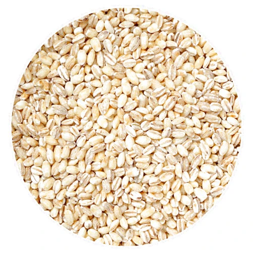 Hampton Distribution Barley Pearl, 1 Pound Bulk Bag, Perfect for Hot Cereals, Salads or Hearty Stews