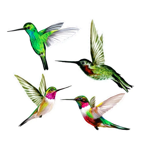 Window Flakes 4-Pack Hummingbird Window Clings – Anti-Collision Bird Strike Decals for Glass Safety – Static Cling, Double-Sided, 100% Reusable & Made in USA (Realistic Multi-Color)