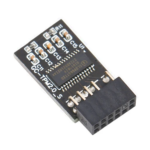 Heayzoki TPM 2.0 Module Encryption Security Module LPC 12 Pin Module Compatible with Remote Card LCP SPI TPM2.0 Module 12 pin for GIGABYTE Motherboards
