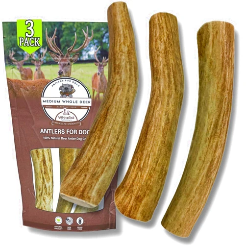 WhiteTail Naturals - 3 Pack Medium - Deer Antler Dog Chews - Antlers for Medium Dogs - Long Lasting, Naturally Shed Antler Dog Bones
